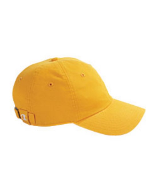 champion c4001